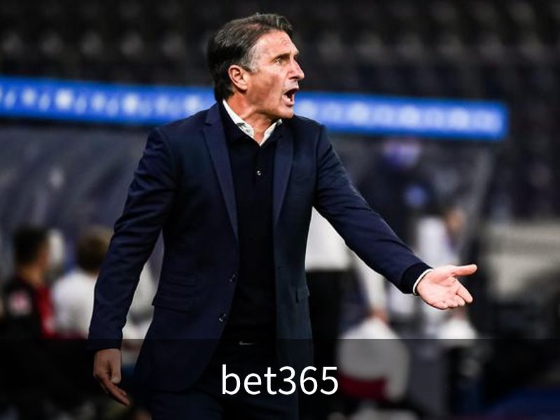 bet365概况